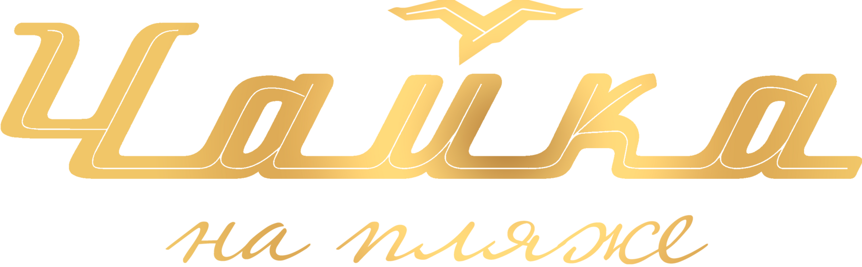 Чайка на пляже