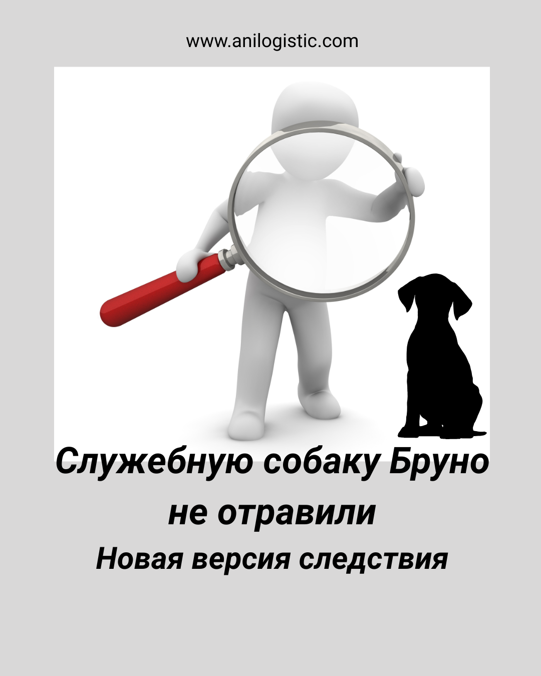 Служебная собака Бруно — расследование гибели и выводы прокуратуры об отсутствии отравления