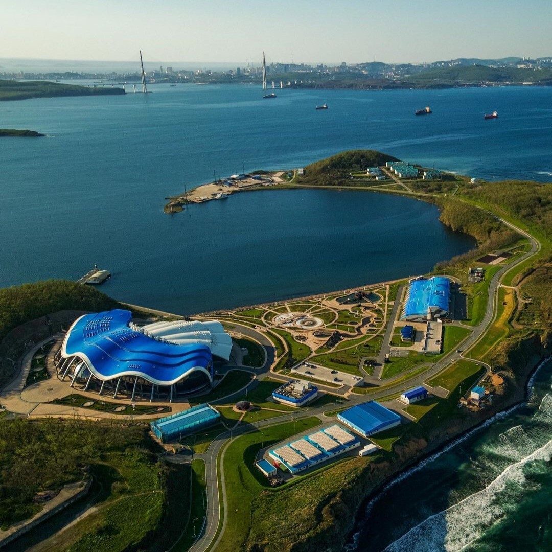 Обзор Владивостока с вертолета — мосты, бухты, улицы