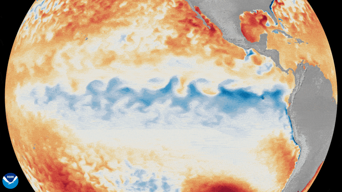 Анимация изменения отклонений температуры поверхности моря от средних значений в тропической части Тихого океана в период с 1 января по 8 июня 2026 года. Источник изображения: NOAA Satellites
