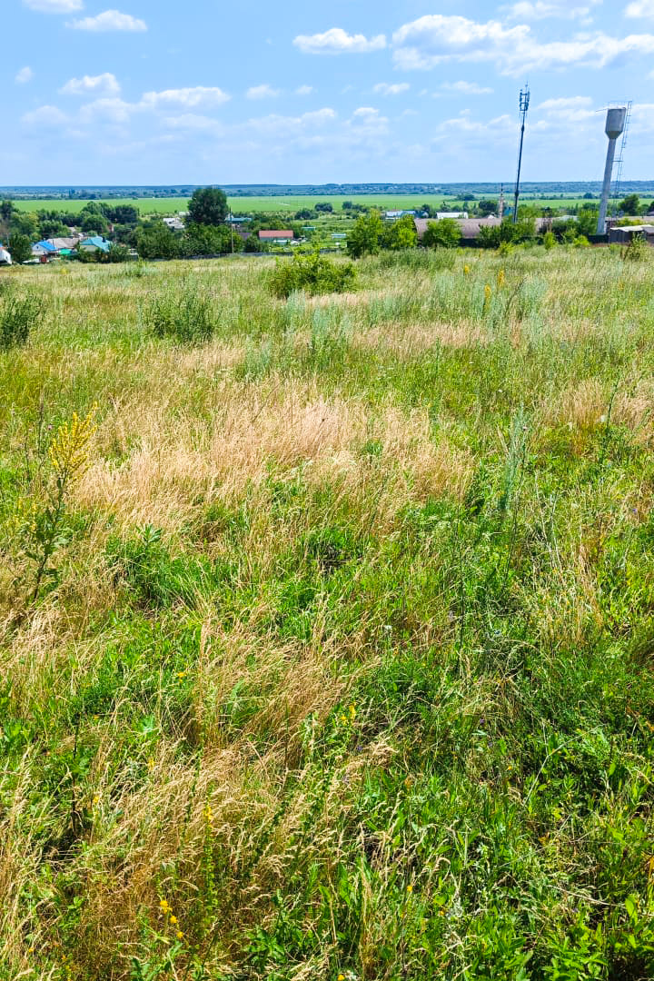 Купить Дом В Новогремяченском Хохольского Района Воронежской