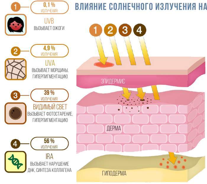 Влияние солнечного излучения на эпидермис, дерму и гиподерму