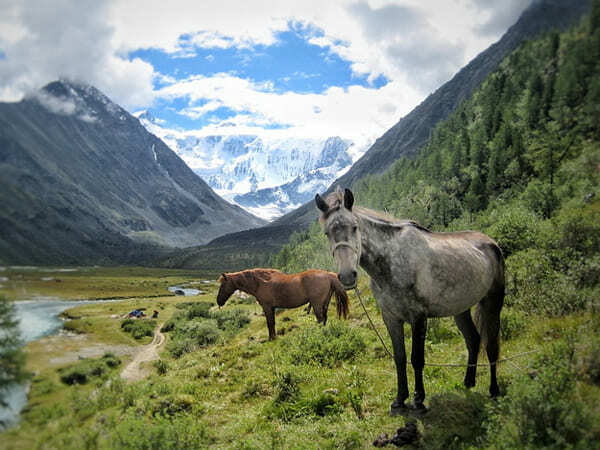 Семейный лагерь алтай