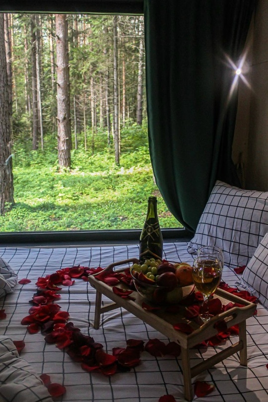 Романтическое оформление домика в глэмпинге Тишина и видом на лес — дополнительные услуги для пар