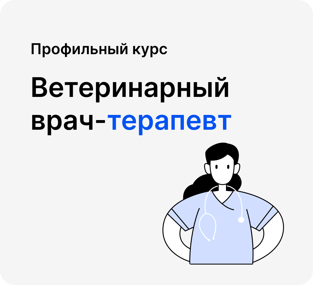 О чем пьют ветеринары. Нескучные рассказы о людях, животных и сложной профессии