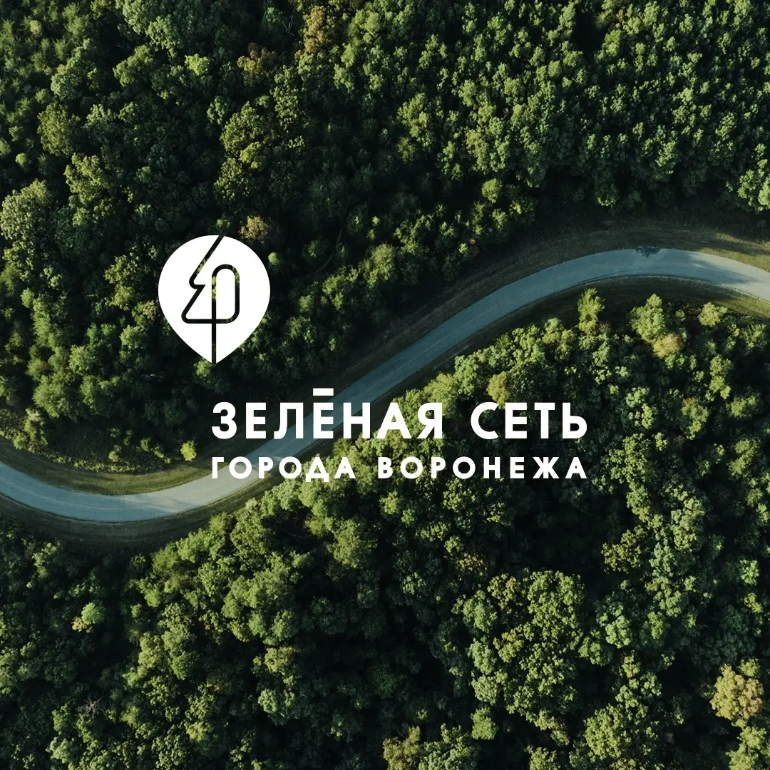 Айдентика Зеленой сети: знак и название на фоне зеленого маршрута