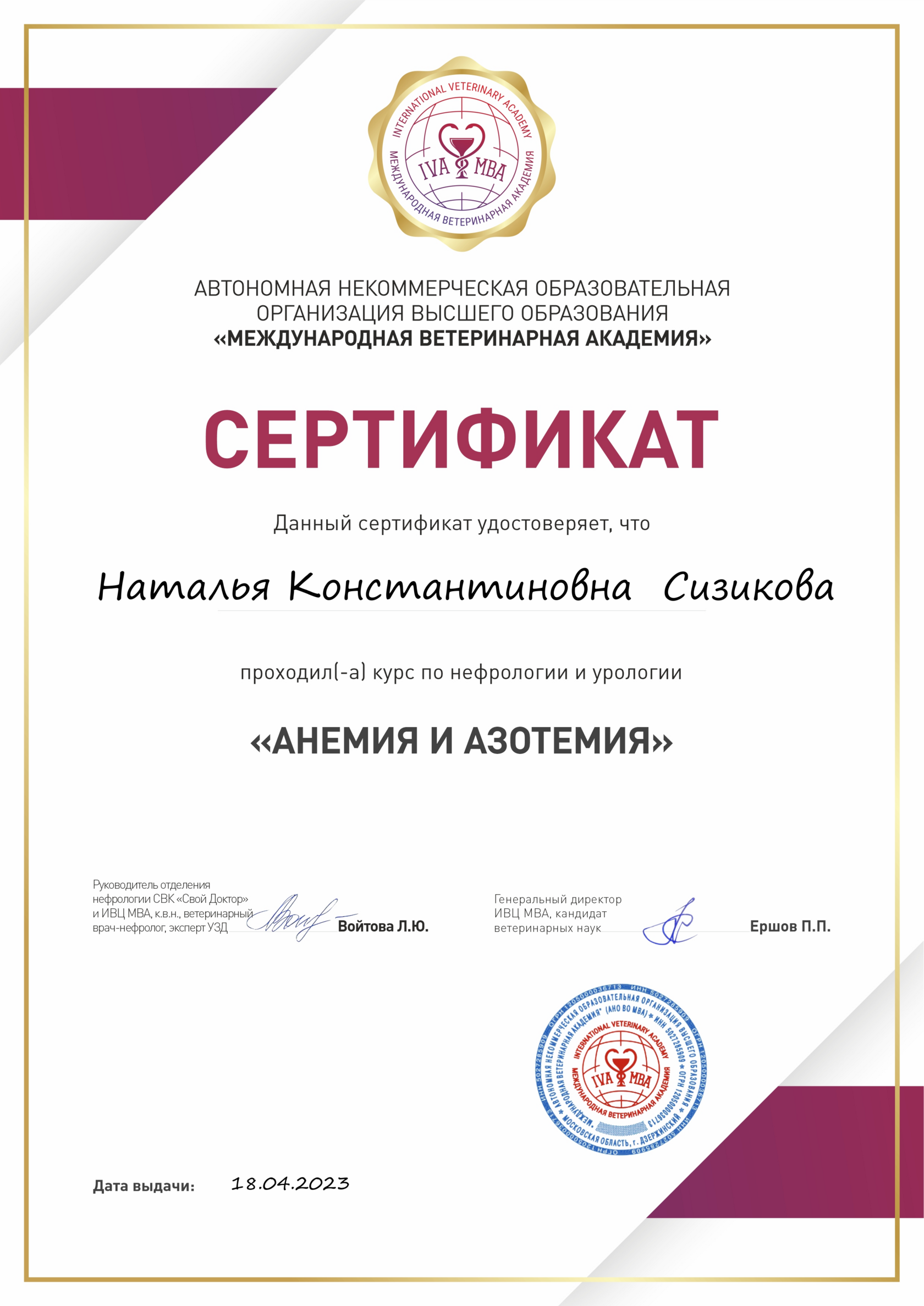 Сертификат об обучении 13