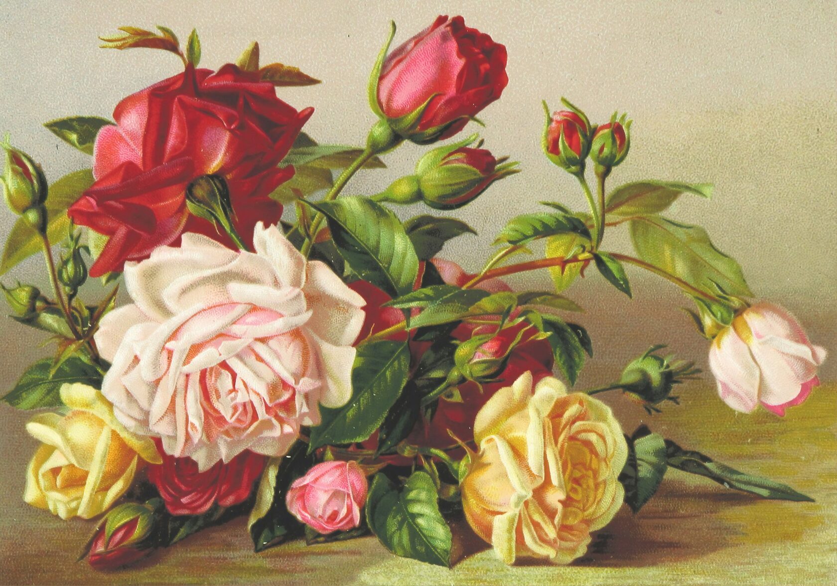 Ornamental Bloom