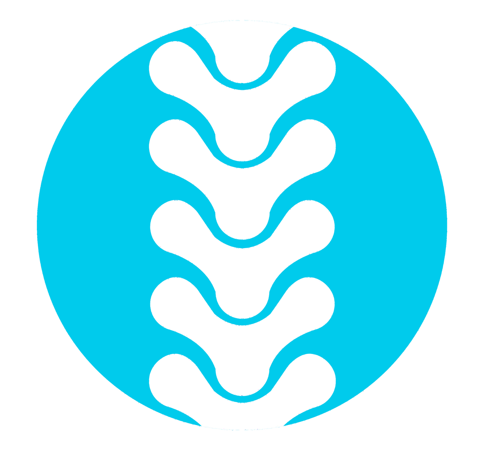 Company