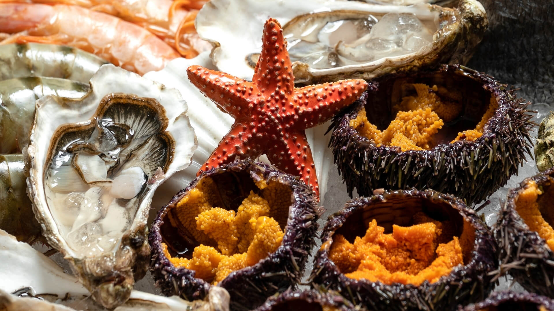 Ресторан Сахалин Роза Хутор — морепродукты White Rabbit Family