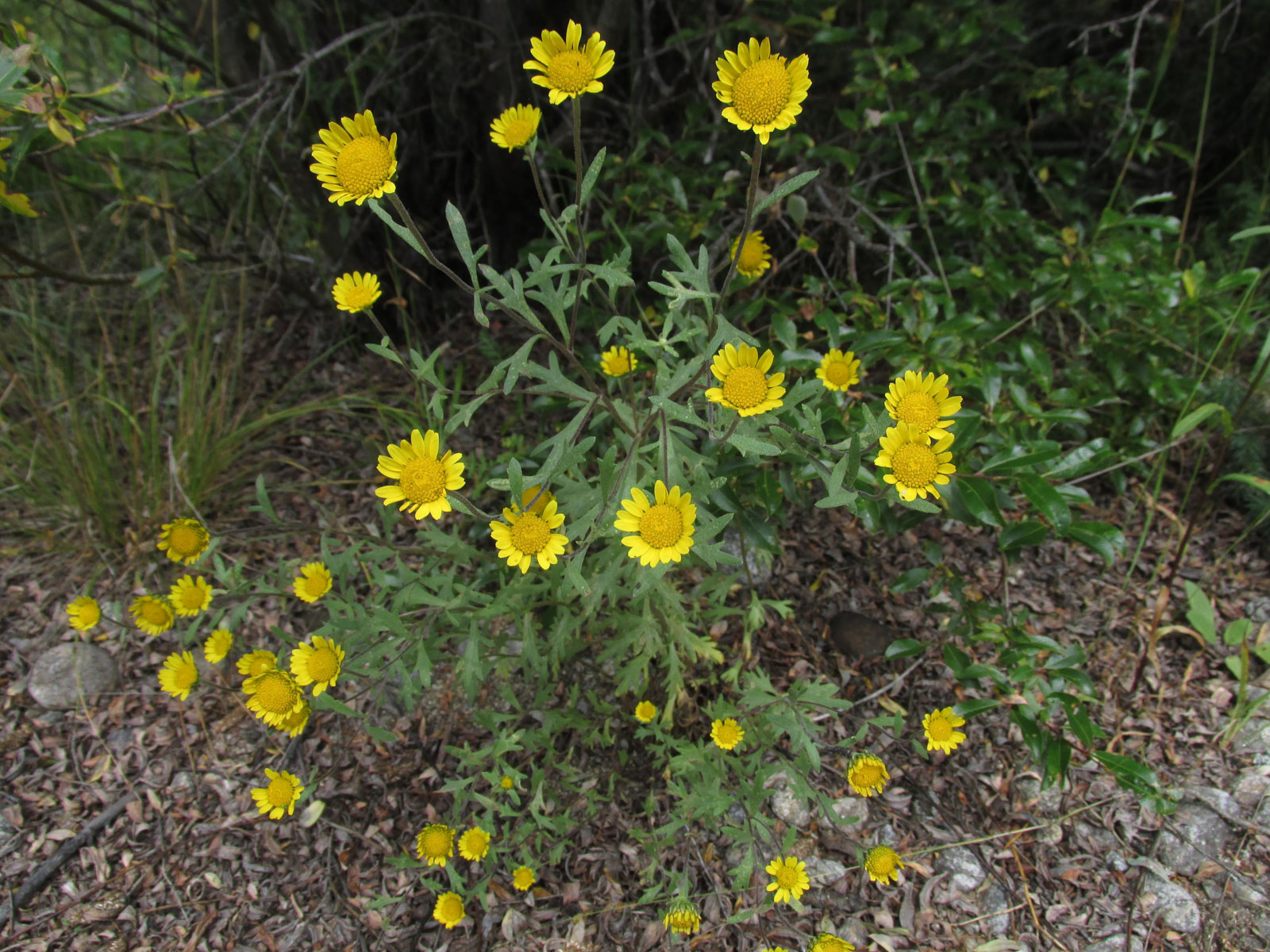 Байкальский заповедник