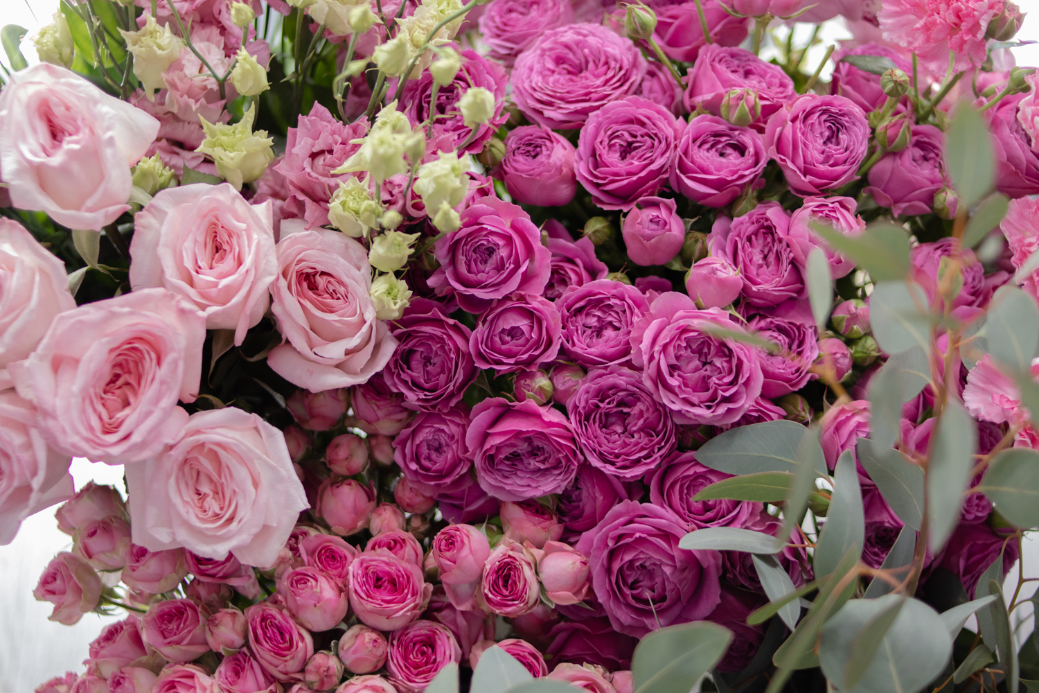 Растительность владивостока. Сферический букет. Цветы доставка владивосток. Цветы владивосток. Цветы владивосток.