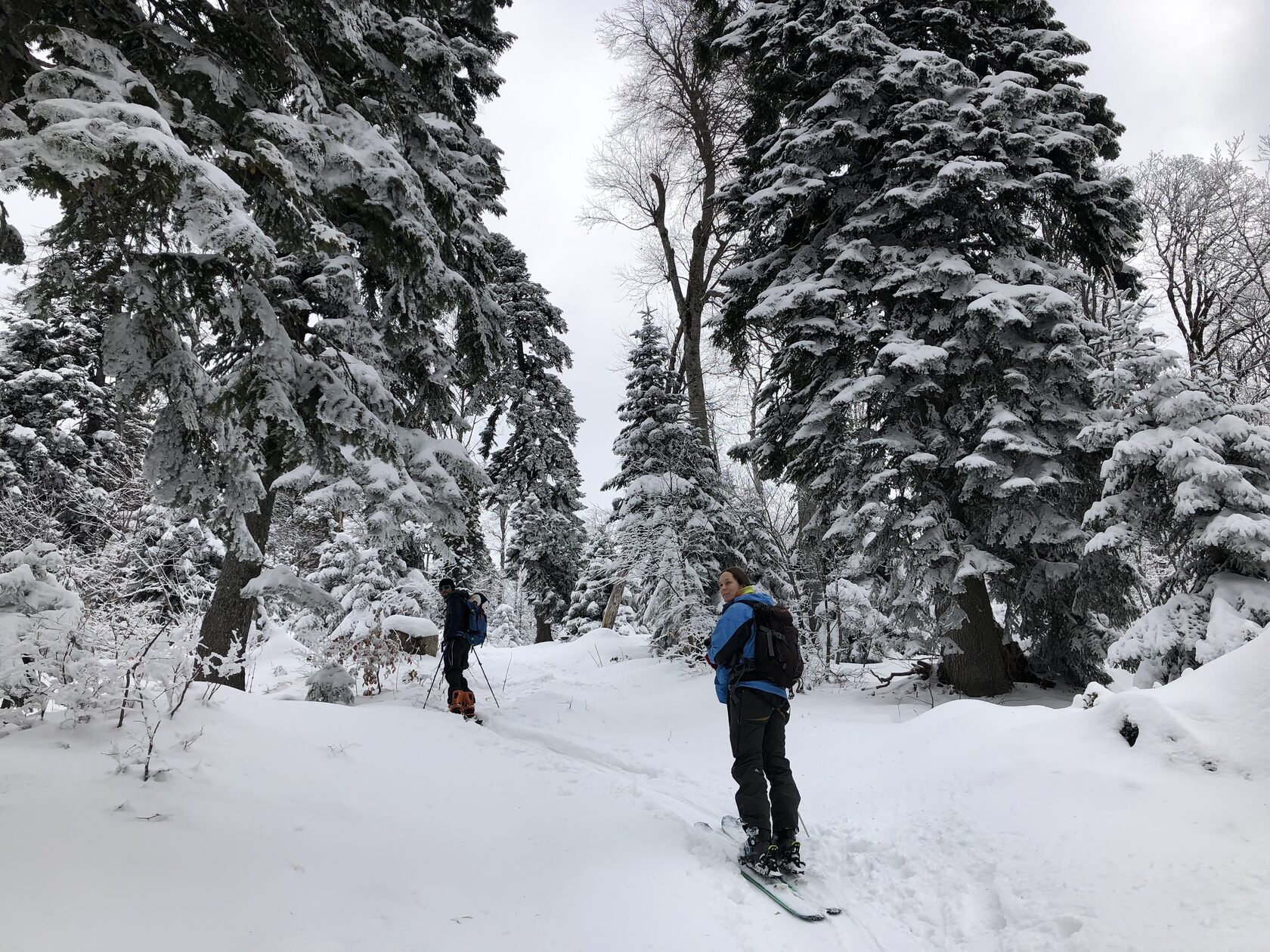 Скитур Абхазия