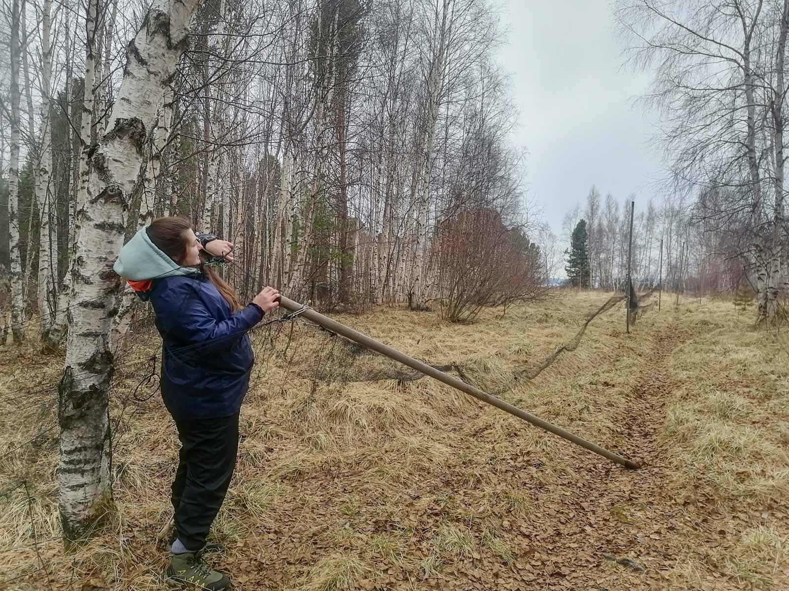 станция кольцевания птиц «Байкальская»