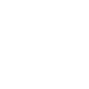 website icon