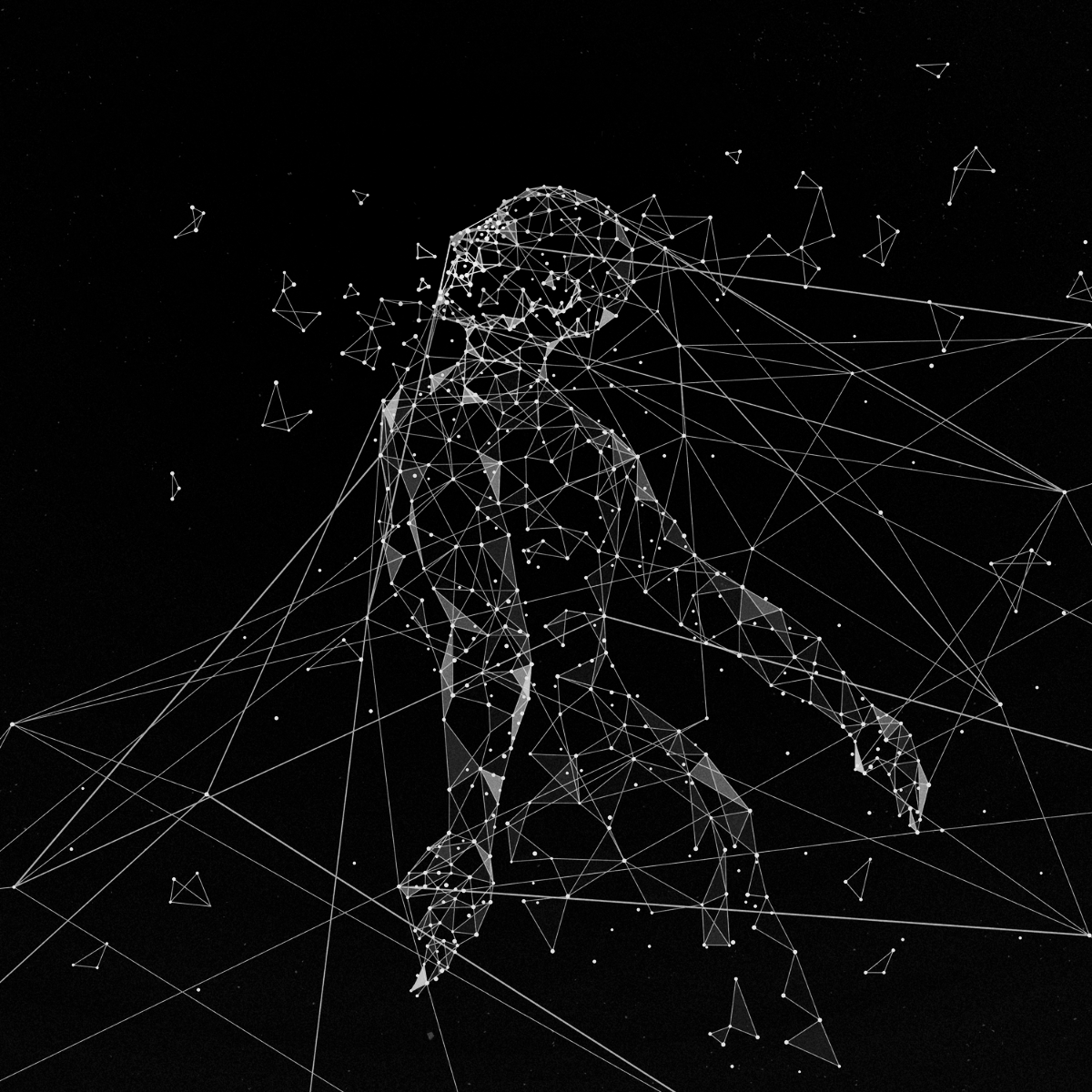 Your Own Borders album artwork