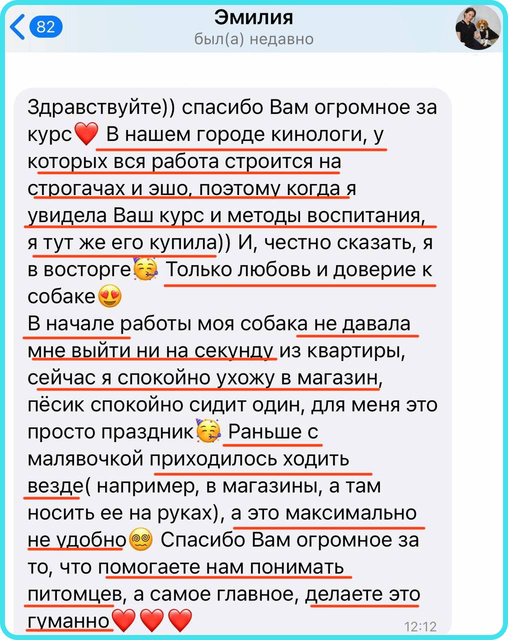 Собака грызет дома вещи? Это может быть тревога расставания! Пройди тест на  сайте, чтобы узнать.