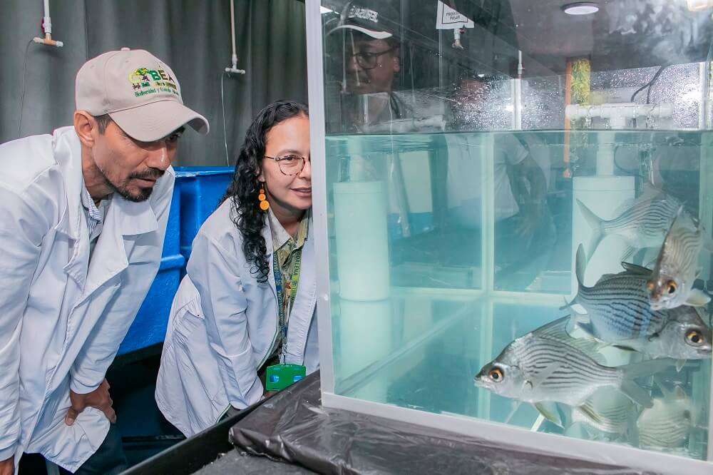 Universidad de Magdalena