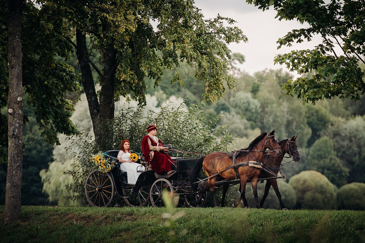 Воз с лошадью фото