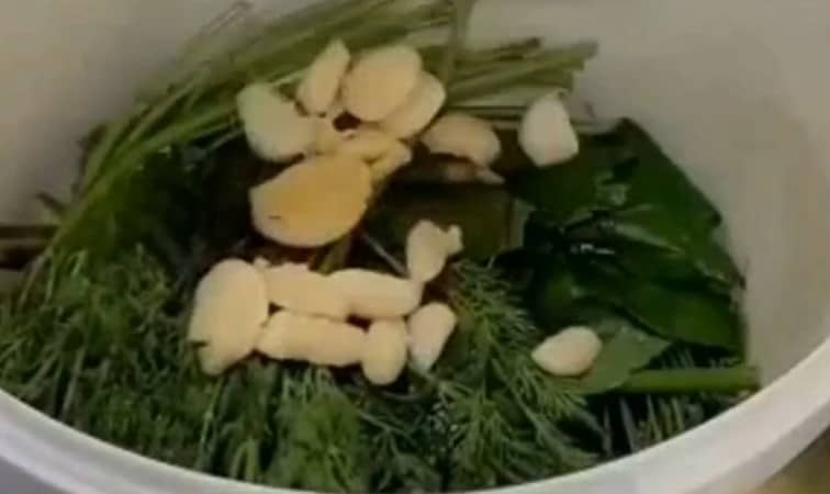 Приготовление квашеных помидоров холодным способом в ведре: шаг 1