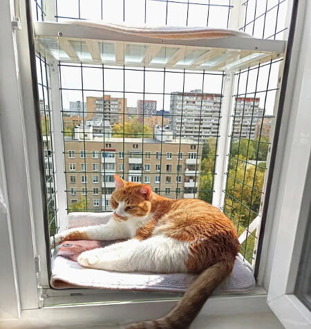 Балкон для кошек на окно купить в Москве | Кошачий балкончик (выгул ...