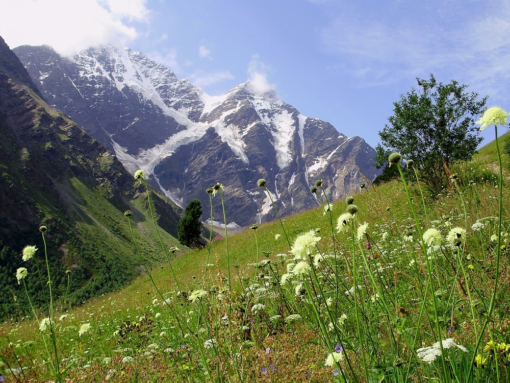 Кабардино Балкария Эльбрус Чегет