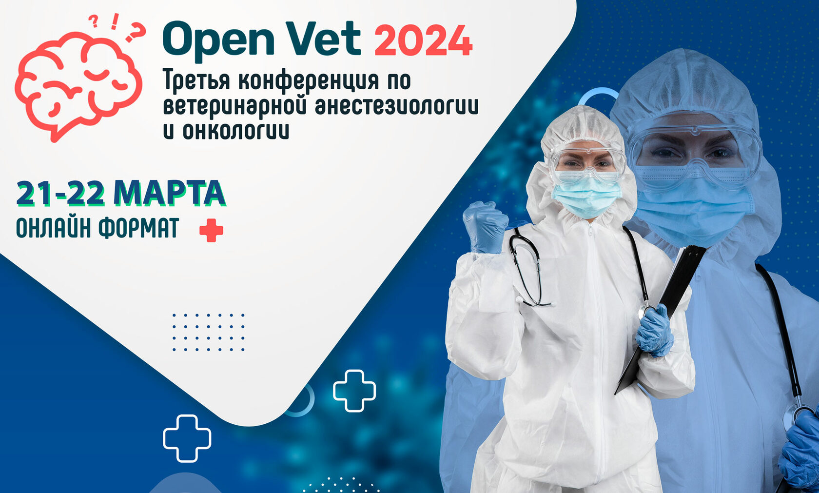 Open Vet 2024. Третья конференция по ветеринарной анестезиологии и онкологии