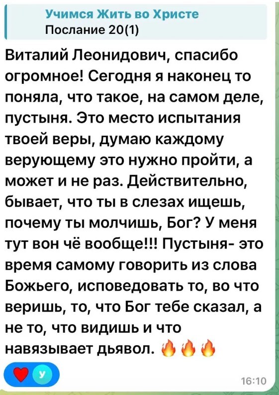 Отзыв о понимании пустыни как места испытания веры