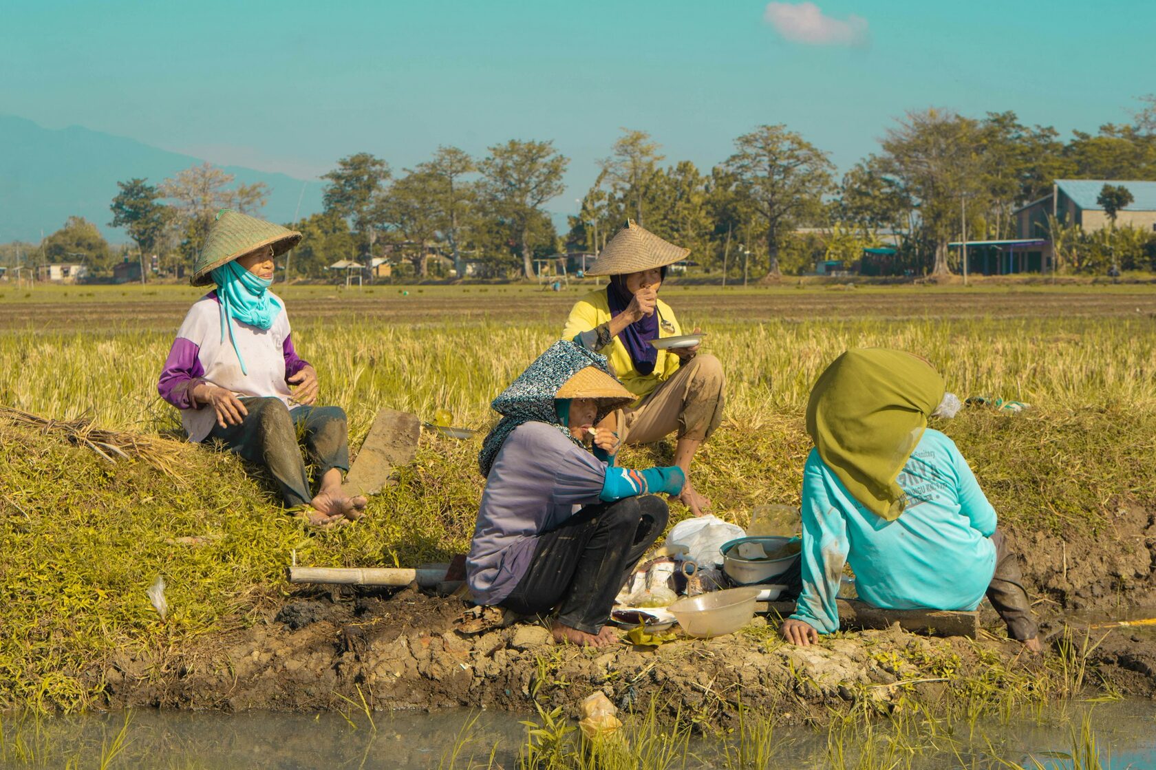 Farm workers team