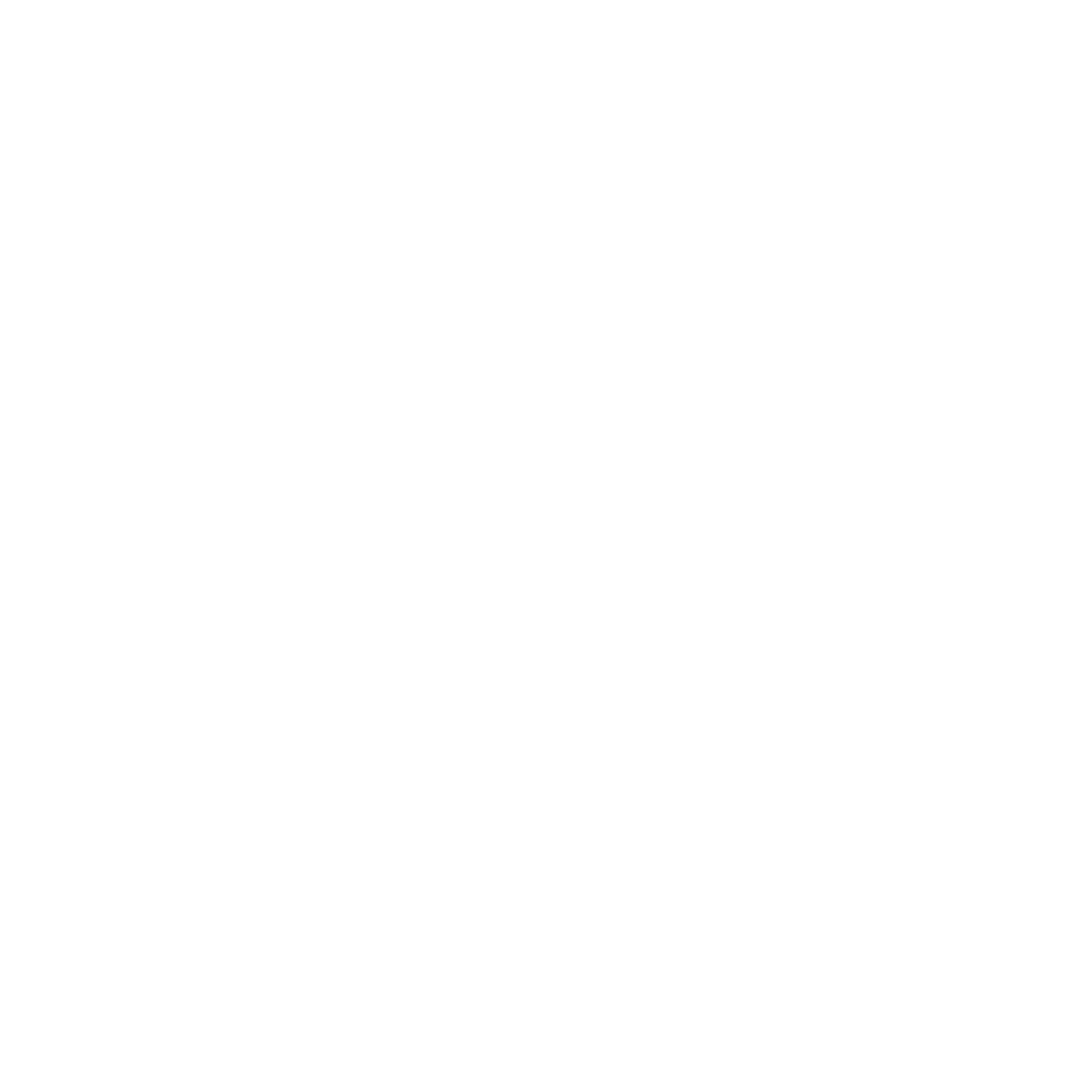 Иконка безопастность