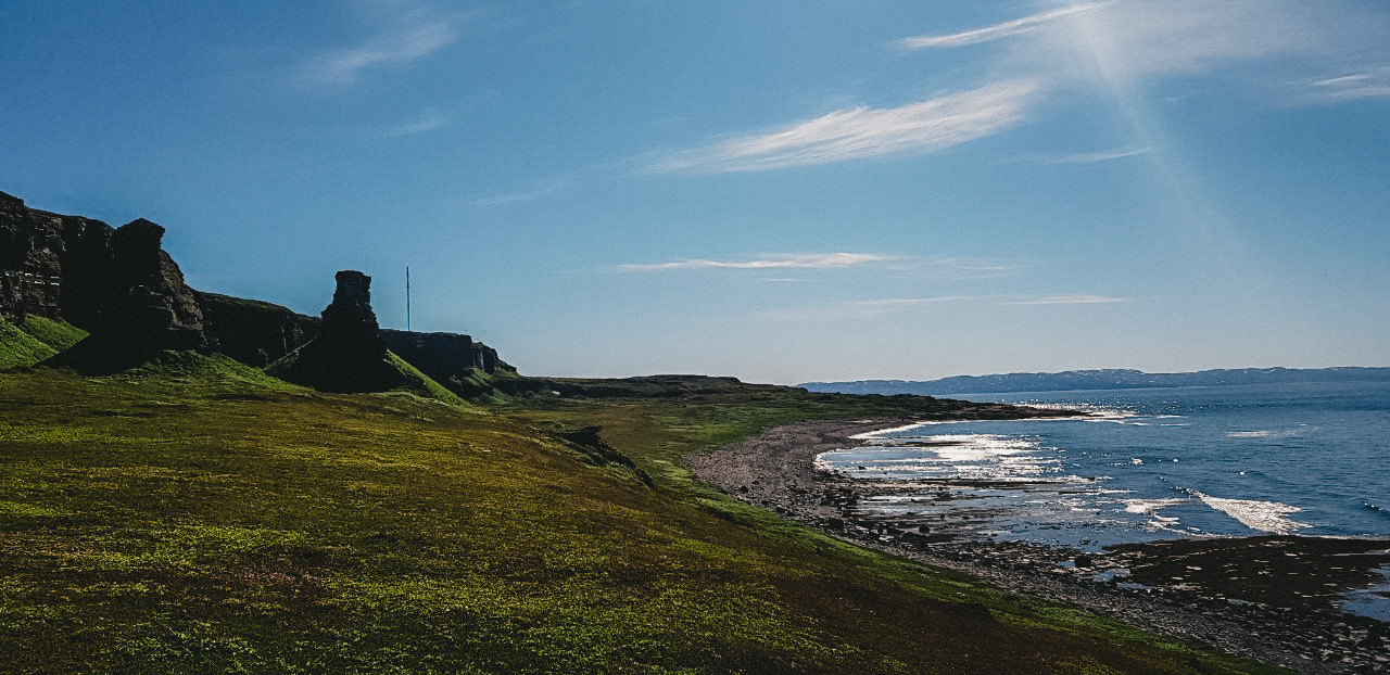 Мыс кекурский мурманская область. Медведи на полуострове рыбачий. Полуостров рыбачий в июне. Медведи на полуострове рыбачий. Полуостров средний и рыбачий.