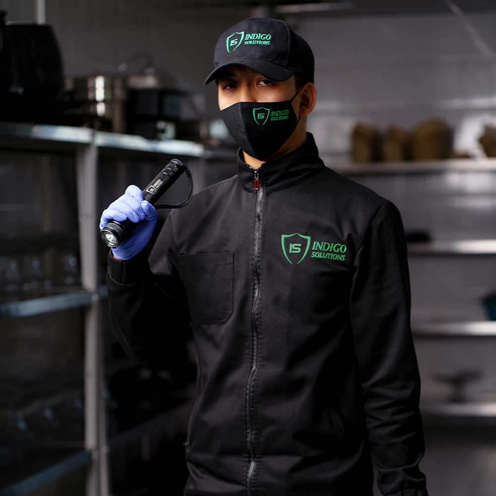 обработка от комаров