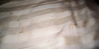 Как выглядят остатки клопов на постели