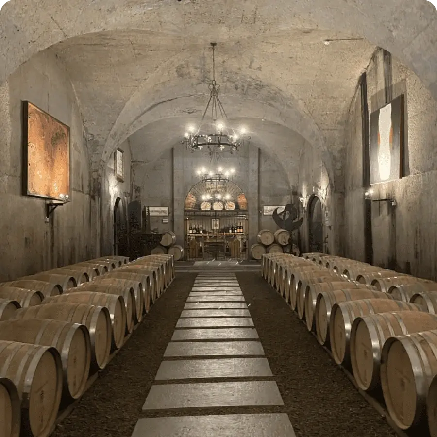 Тур в ЮАР - Старинные винодельни