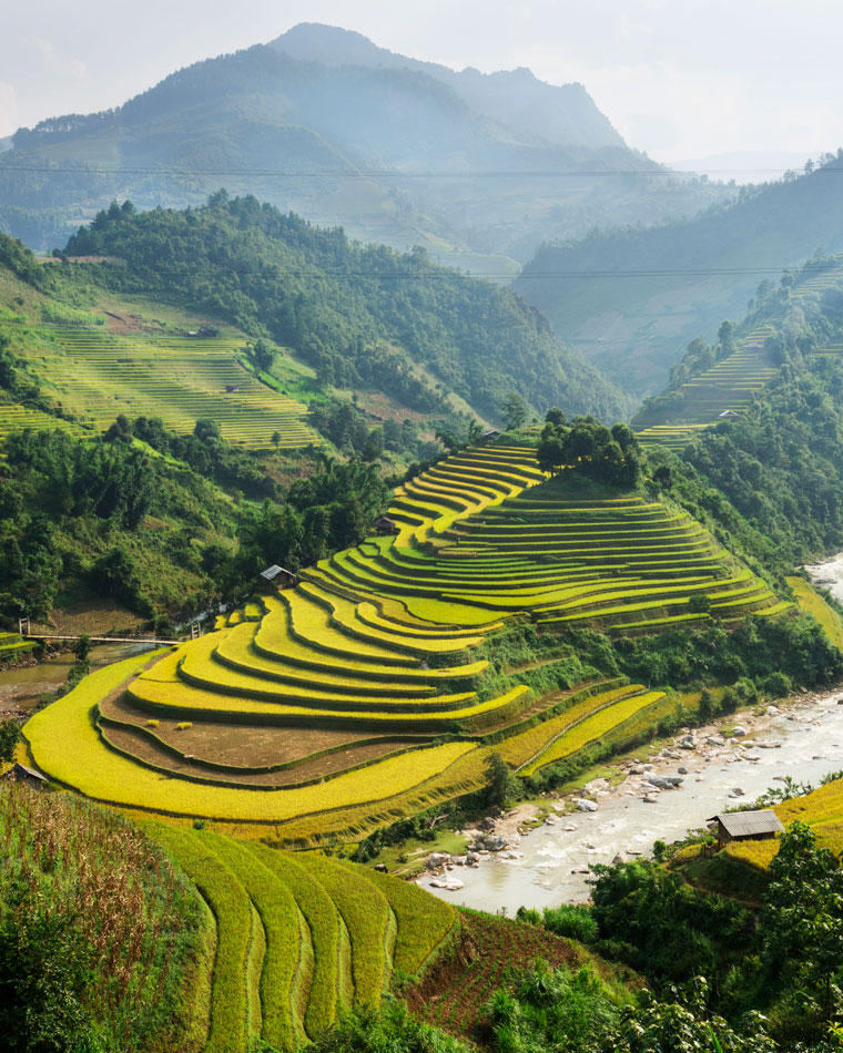 Terraced rice paddies, and mountains in the distance, in Ha Giang, Vietnam.