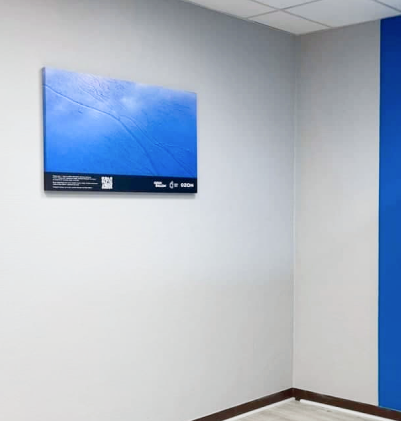 Ozon Ballon для партнёров