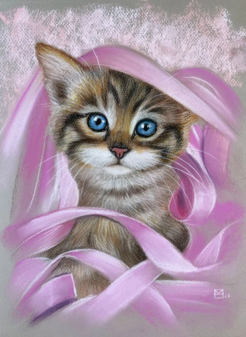 Котенок с розовыми лентами