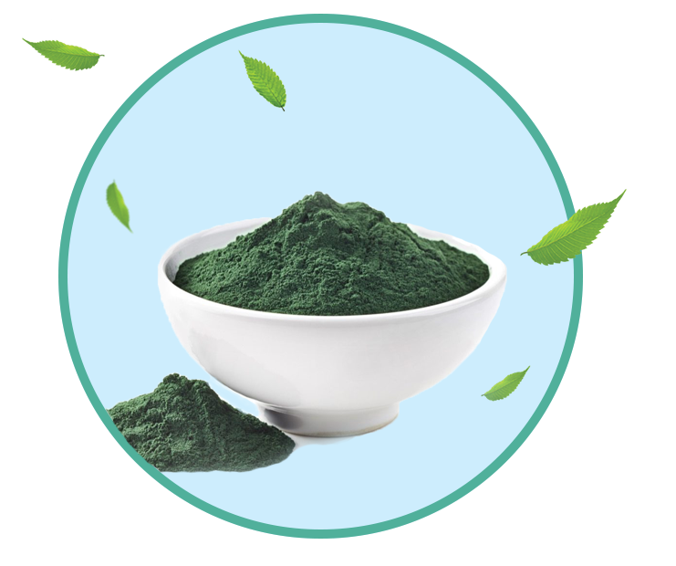 Спирулина в онлайн курсе Центра Неумывакина "Коробка Здоровья"