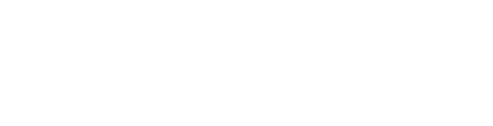 Горан Брегович