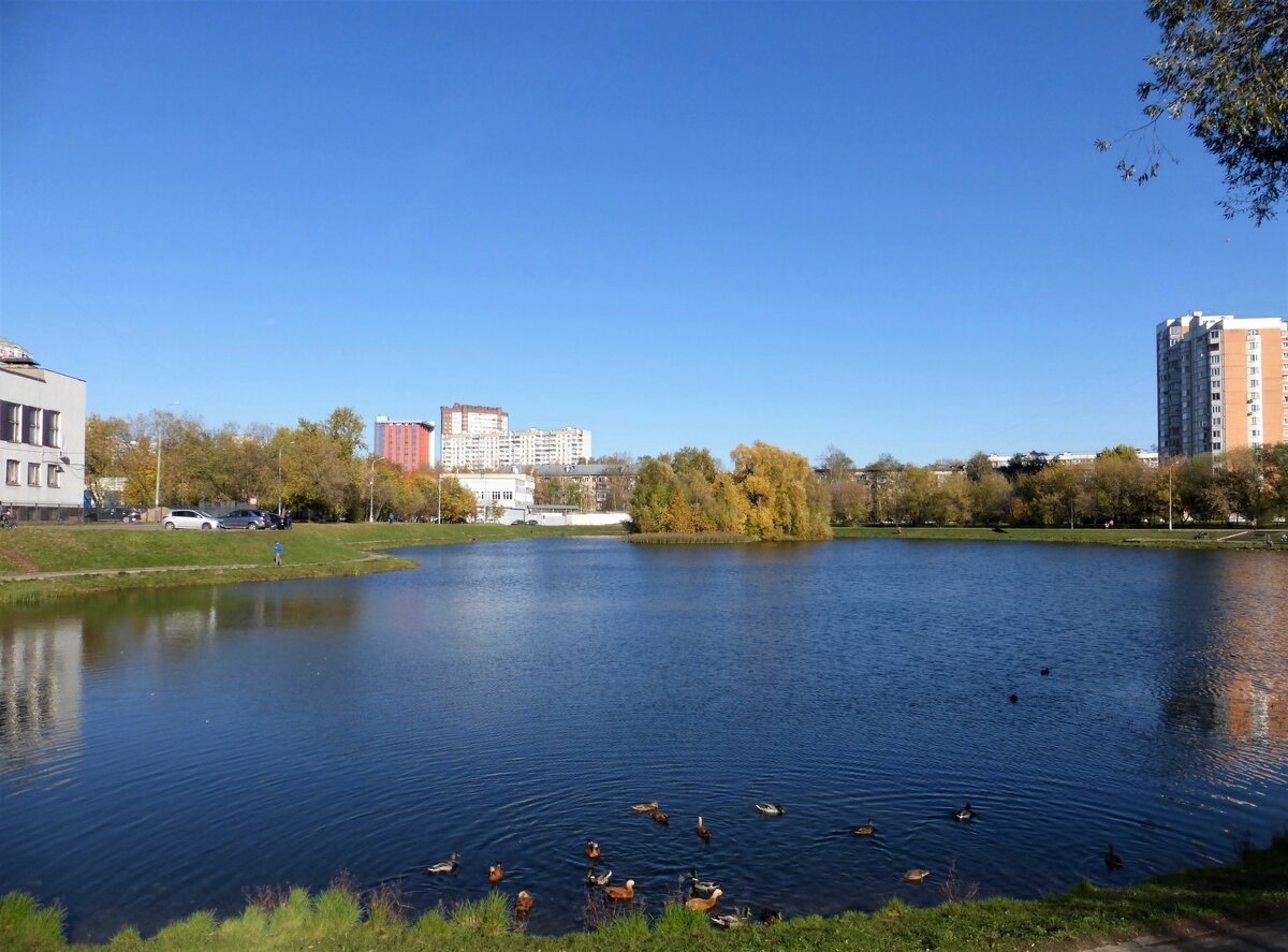 Свиблово. Капустинский пруд в Свиблово. Капустинский парк. Парк Свиблово пруды. Капустинский парк Москва.