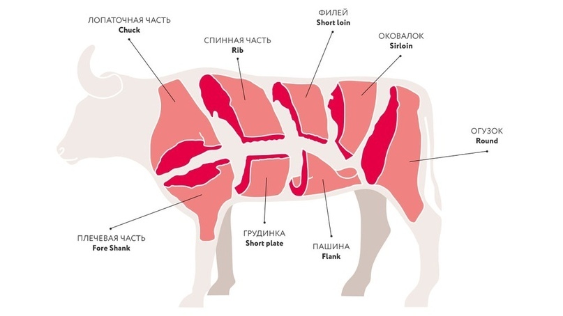 Схема стейков на корове