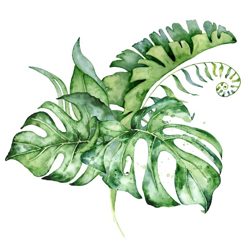 Спа салон, спа салоны в Воронеже, спа салон Воронеж для женщин, спа ...