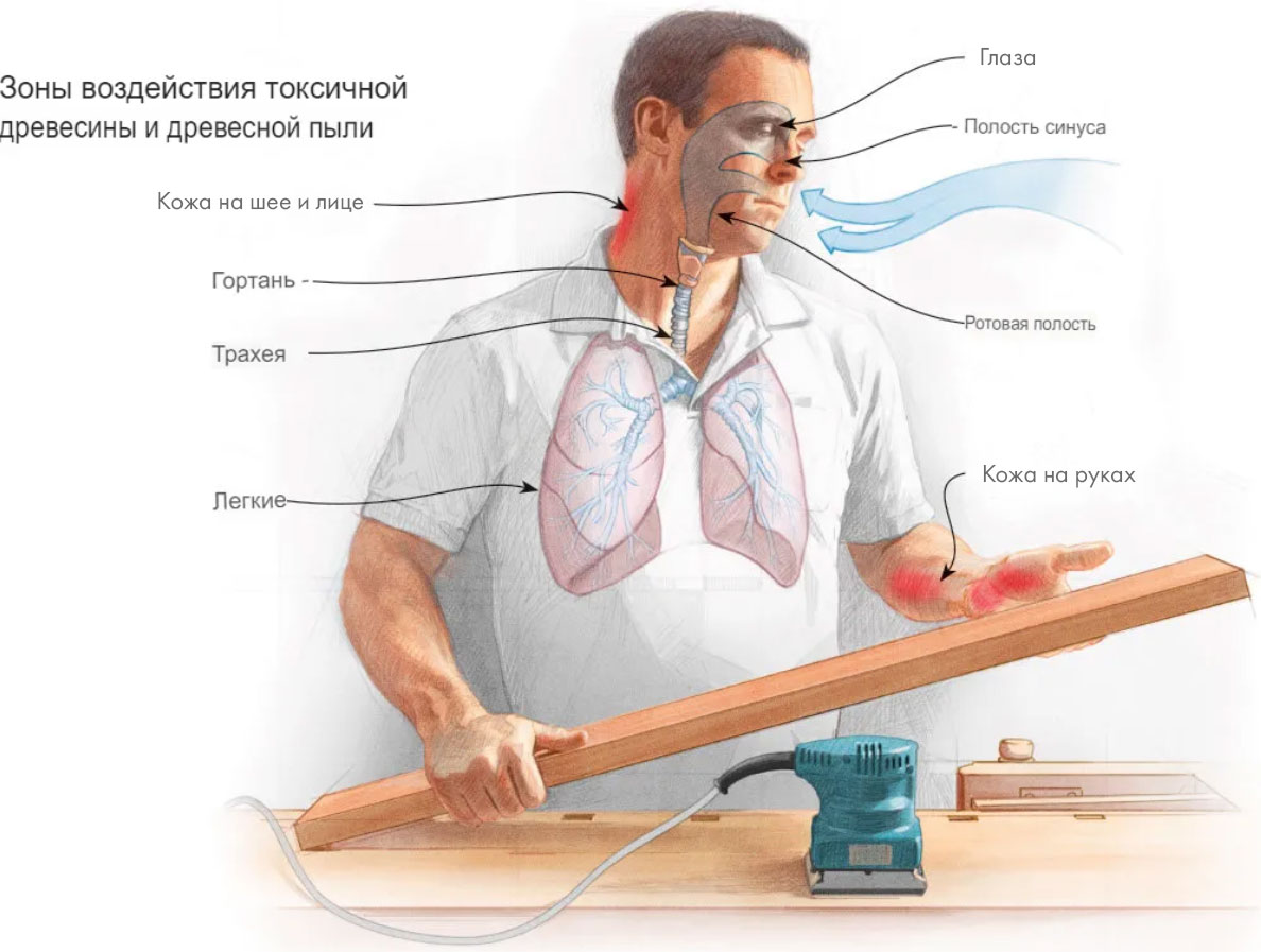 Древесная пыль: класс опасности, ПДК, вред, очистка и фильтры