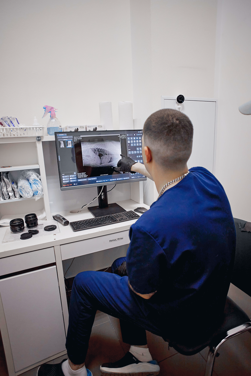 Рентгенологическая диагностика для животных