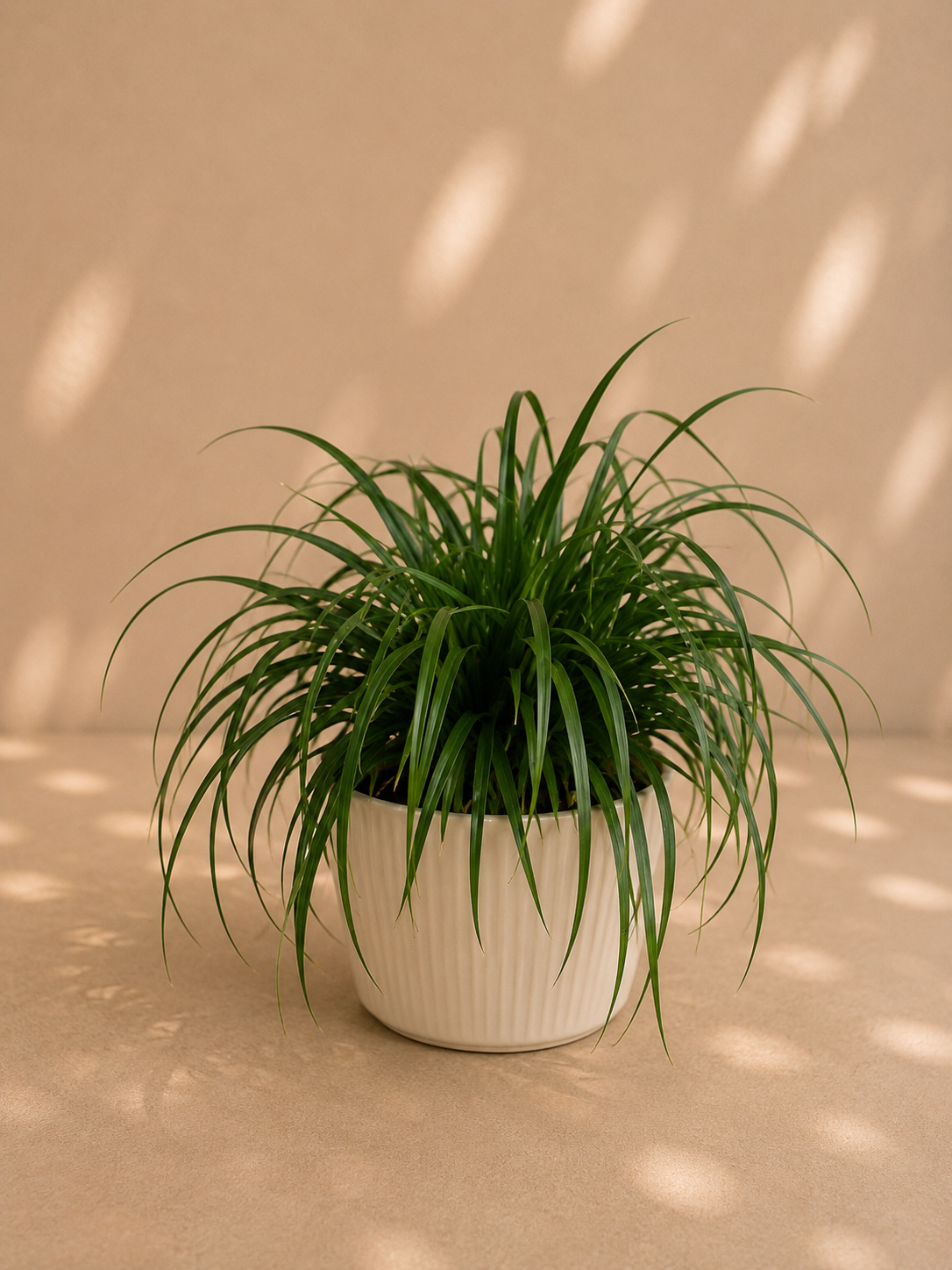 Carex sp.