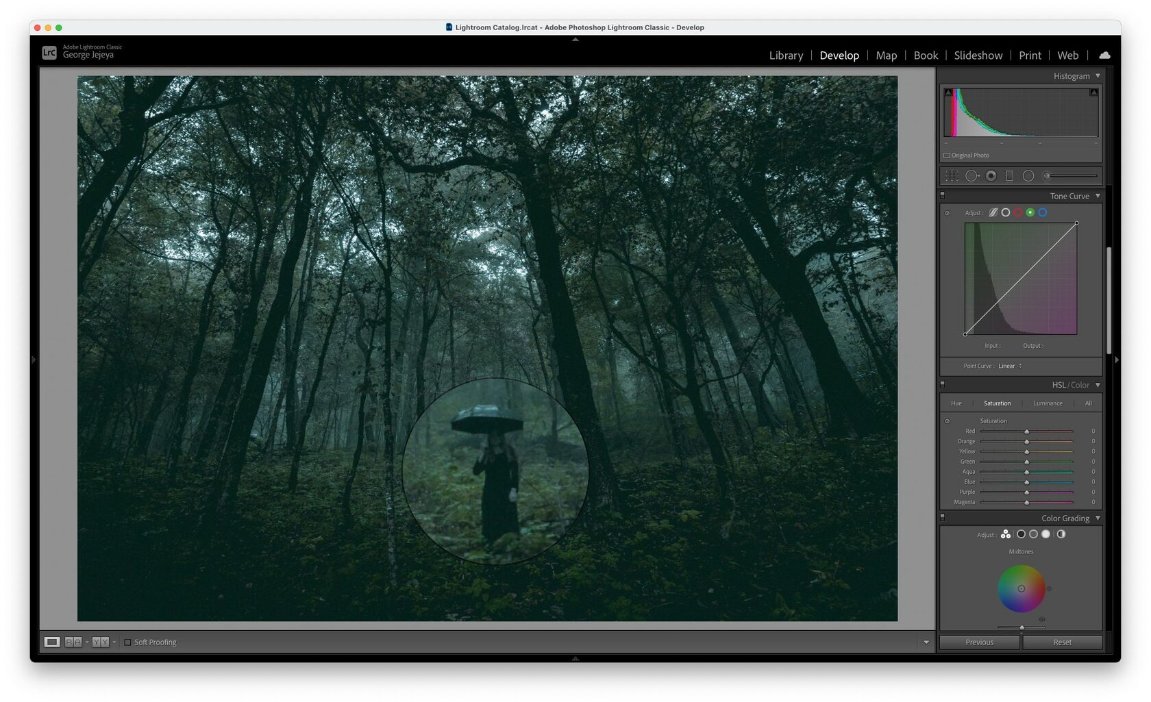 Пресет Lightroom для установки копирайта в фотографию - intimisimo.ru