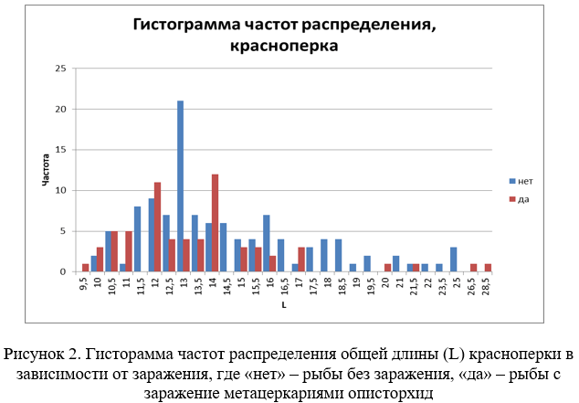Гисторамма частот распределения общей длины (L) красноперки в зависимости от заражения, где «нет» – рыбы без заражения, «да» – рыбы с заражение метацеркариями описторхид