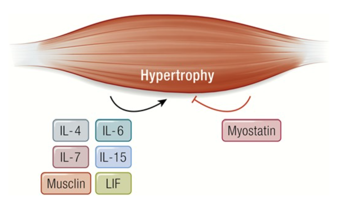 Ein Bild, das Text, Screenshot, Design enthält.
KI-generierte Inhalte können fehlerhaft sein.