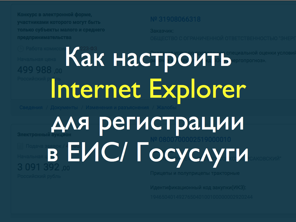 Как настроить Internet Explorer для регистрации в ЕИС/ Госуслуги