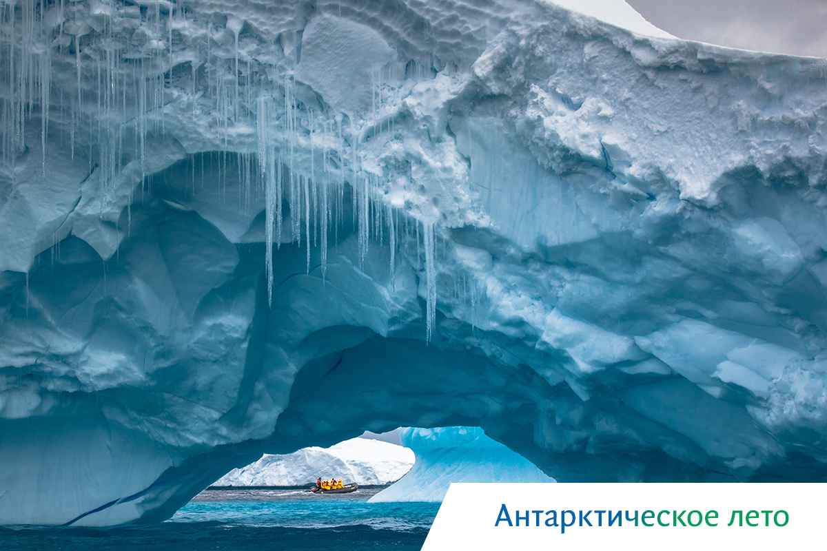 киты в охотском море